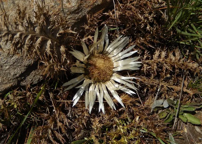 Hotel Du Soleil Cogne